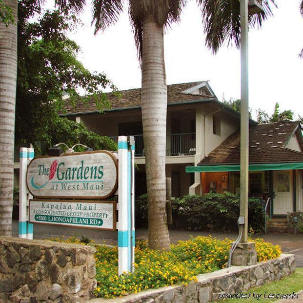 الشقق الفندقية كابالوافي  Gardens At West Maui المظهر الخارجي الصورة