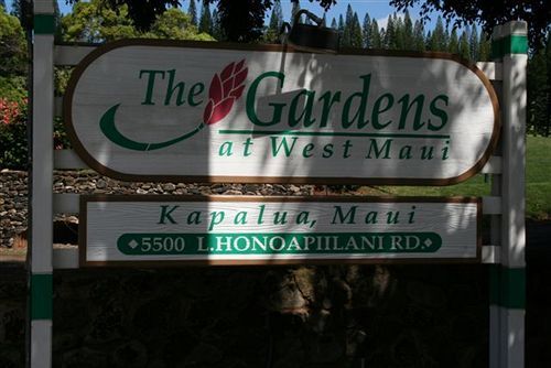 الشقق الفندقية كابالوافي  Gardens At West Maui المظهر الخارجي الصورة